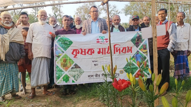 বাংলাদেশেই ফুটছে নেদারল্যান্ডের লিলিয়াম, স্বপ্ন বুনছেন ফুলচাষীরা 