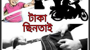 শার্শায় ডাচ-বাংলা এজেন্ট ব্যাংকের ৮ লাখ টাকা ছিনতাই