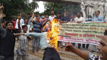 খুনি মোশতাককে ‘শ্রদ্ধা’, অধ্যাপক রহমতুল্লাহর কুশপুত্তলিকা দাহ