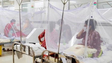 ডেঙ্গুতে আরও ৫ জনের মৃত্যু, হাসপাতালে ৬৭৮ নতুন রোগী