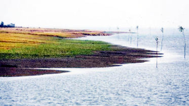 হাতিয়ায় জলদস্যুদের গোলাগুলিতে নিহত ৩