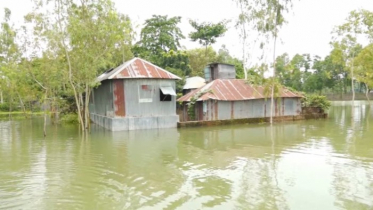 যমুনায় বিপদসীমার ২৬ সেন্টিমিটারে পানি