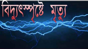 মেহেরপুরে বিদ্যুৎস্পৃষ্টে এক ব্যক্তির মৃত্যু