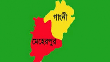 গাংনীতে মাথায় গাছ পড়ে গৃহবধূর মৃত্যু