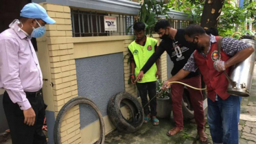 ৯৯ স্থাপনায় এডিসের লার্ভা, প্রায় ৩ লাখ টাকা জরিমানা