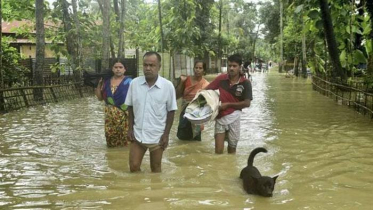 আসামে বন্যায় ১৯৫ জনের মৃত্যু, নিখোঁজ ৩৭
