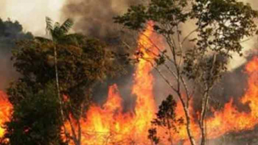 সুন্দরবনে আগুন: সকাল থেকে কাজ শুরু করবে ফায়ার সার্ভিস