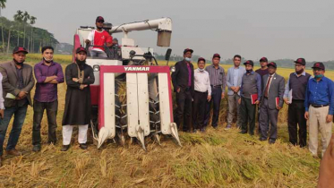 ইয়ানমার কম্বাইন হারভেস্টার এর মাঠ প্রদর্শনী