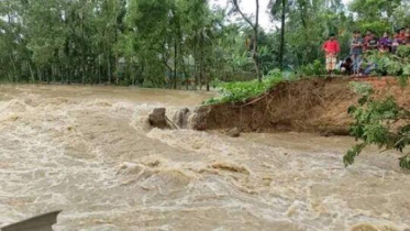 পাহাড়ি ঢলে বাঁধ ভেঙে আখাউড়ার নিম্নাঞ্চল প্লাবিত