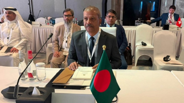 অভিবাসীদের অধিকার রক্ষায় যৌথ উদ্যোগের আহ্বান উপদেষ্টা আসিফ নজরুলের