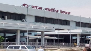 বিমানের ইঞ্জিনে পাখি, ফ্লাইট বাতিল