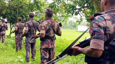 ভারতে চামড়া পাচার রোধে সীমান্তে সতর্কবস্থায় বিজিবি