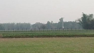 পাটগ্রাম সীমান্তে বিএসএফের গুলিতে বাংলাদেশি নিহত