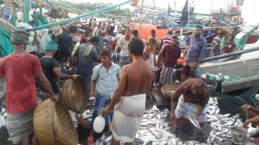 ইলিশে সয়লাব বাগেরহাটের কেবি বাজার, নেই স্বাস্থ্যবিধি