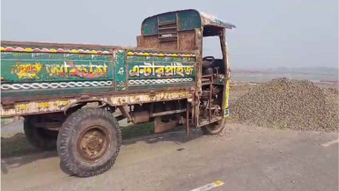 মোংলায় নসিমন উল্টে চালকসহ ২ জনের মৃত্যু