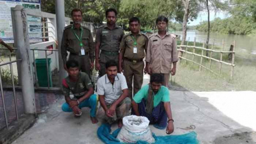 সুন্দরবনে বিষ দিয়ে মাছ ধরার অপরাধে আটক ৩