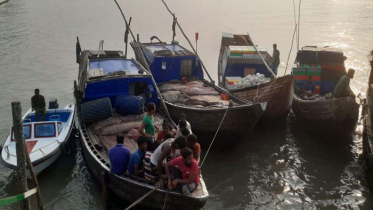 সুন্দরবনে মাছ আহরণ, ট্রলারসহ ২৪ জেলে আটক