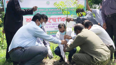 মুজিবর্ষ উপলক্ষে বাগেরহাটে বৃক্ষরোপন কর্মসূচি শুরু