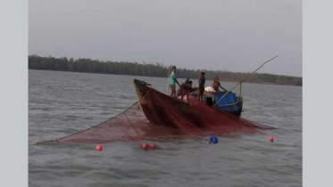 সুন্দরবনে চিংড়ি জালে সর্বনাশ!