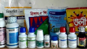 সরকারের যুগান্তকারী সিদ্ধান্ত, দেশেই উৎপাদন হবে বালাইনাশক