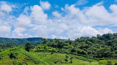 বান্দরবানের নাইক্ষ্যংছড়িতে স্থল মাইন বিষ্ফোরণে ৩ বাংলাদেশী নিহত বান্দরবানের নাইক্ষ্যংছড়িতে স্থল মাইন বিষ্ফোরণে ৩ বাংলাদেশী নিহত
