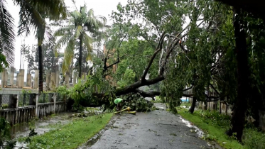 বরগুনায় ১৬ হাজার বসতঘর বিধ্বস্ত, দুটি মৃত হরিণ উদ্ধার