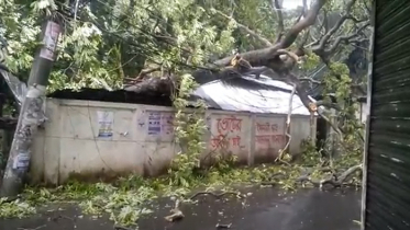 বরিশাল বিভাগে ৭ জনের মৃত্যু, লন্ডভণ্ড অসংখ্য ঘরবাড়ি