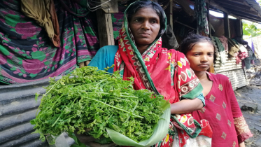 বুনো শাক-পাতায় সুখ খুঁজে ফিরেন সুখি