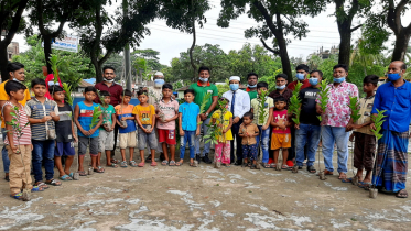 ব্রাহ্মণবাড়িয়ায় লাল সবুজ উন্নয়ন সংঘের বৃক্ষরোপণ ও চারা বিতরণ