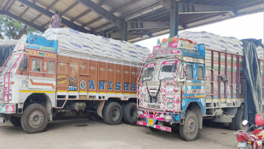 আমদানির সময় শেষ, বেনাপোল বন্দর দিয়ে এলো ৫ হাজার টন চাল