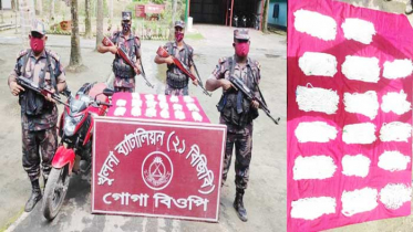 শার্শা  সীমান্তে ১৮ কেজি ভারতীয় রুপা উদ্ধার