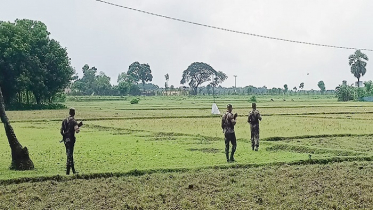 চামড়া পাচার রোধে সীমান্তে বিজিবির সতর্কতা