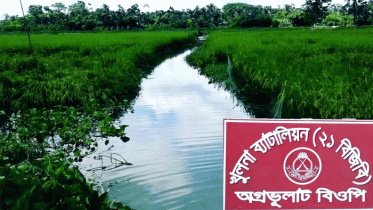 অবৈধ অনুপ্রবেশ: শার্শা সীমান্তে আটক ৫