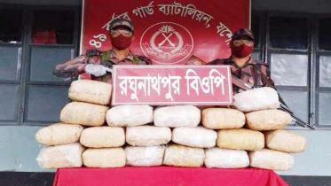 কবুতরের বাক্সে মিলল ৭৬ কেজি ভারতীয় গাঁজা