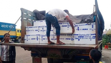 ১১ দিনে ভারতে গেলো ৬১৮ মেট্রিক টন ইলিশ