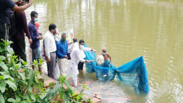 মৎস্য সপ্তাহে শার্শায় মাছের পোনা অবমুক্তকরণ