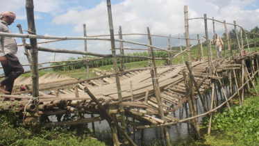 বাঁশের সাঁকো ভেঙ্গে দুর্ভোগে এলাকাবাসী