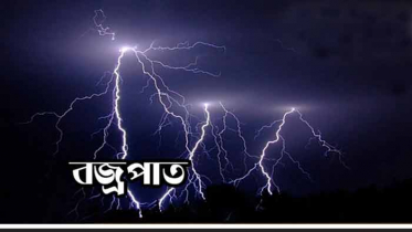 বিলে মাছ ধরতে গিয়ে বজ্রপাতে ২ যুবকের মৃত্যু 