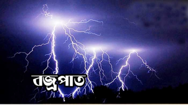 শেরপুরে বজ্রপাতে প্রাণ গেল ৪ জনের