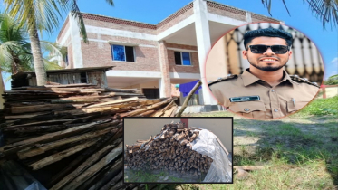 বরগুনায় সংরক্ষিত বনের গাছ চুলায় পুড়ছেন বিট কর্মকর্তা বরগুনায় সংরক্ষিত বনের গাছ চুলায় পুড়ছেন বিট কর্মকর্তা