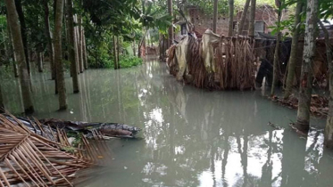 বরিশালে ঘূর্ণিঝড় ইয়াসের প্রভাবে ব্যাপক ক্ষতি