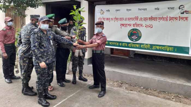 ব্রাহ্মণবাড়িয়ায় আনসার-ভিডিপির বৃক্ষরোপন অভিযান
