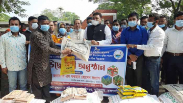 নাসিরনগরে কৃষকদের মধ্যে বিনামূল্যে বীজ ও সার বিতরণ