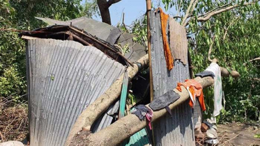 কালবৈশাখীর ঝড়ে সরাইলে শতাধিক বাড়িঘর বিধ্বস্ত
