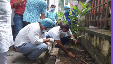 মুজিববর্ষ উপলক্ষে ব্রাহ্মণবাড়িয়ায় বৃক্ষরোপণ কর্মসূচি 