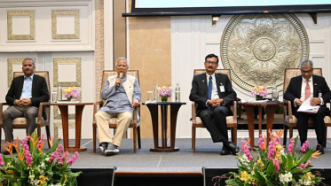 প্রবাসীদের ভোটাধিকার নিশ্চিতে কাজ করছে সরকার: প্রধান উপদেষ্টা