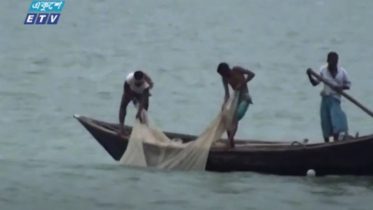 চাঁদপুর অভয়াশ্রমে চলছে দেদারছে ইলিশ নিধন (ভিডিও)