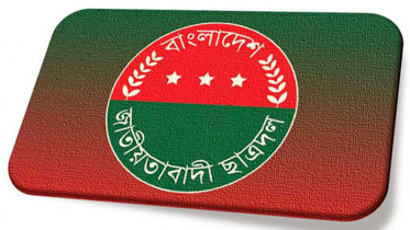 একযোগে নতুন ২৯ কমিটি ঘোষণা ছাত্রদলের