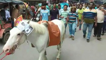 কুসিক নির্বাচনে ঘোড়া নিয়ে গণসংযোগ, প্রার্থীকে জরিমানা