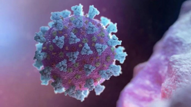 চুয়াডাঙ্গায় ১২৫৪ জনের করোনা শনাক্ত